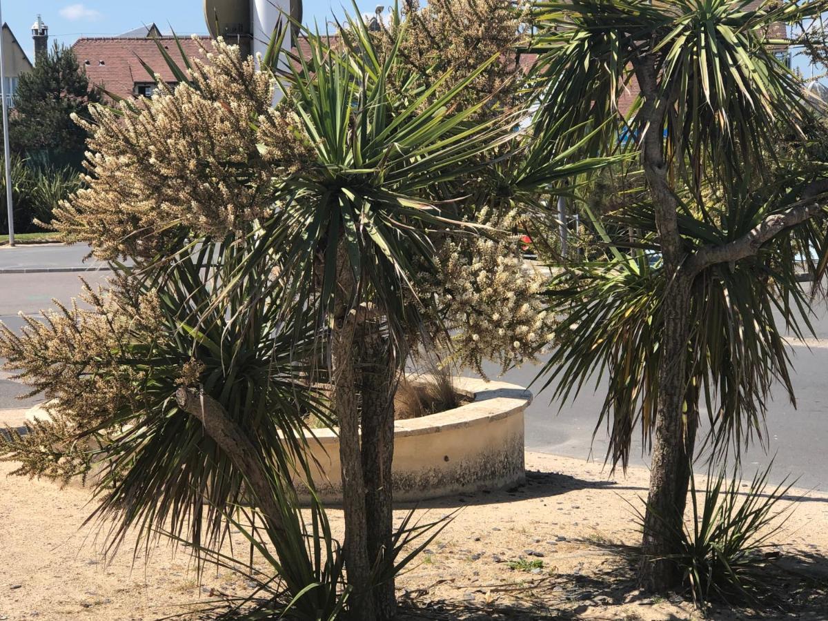 Apartament Le 84 Courseulles-sur-Mer Zewnętrze zdjęcie